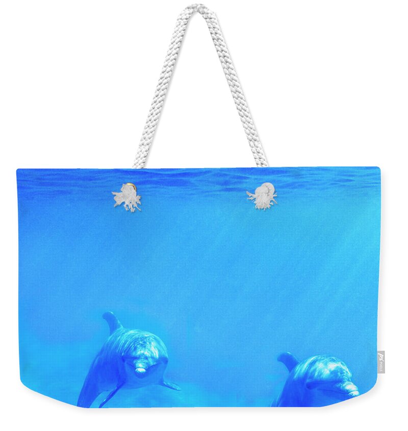 Animals In The Wild Weekender Tote Bag featuring the photograph Bottle Nosed Dolphins Underwater by Mike Hill