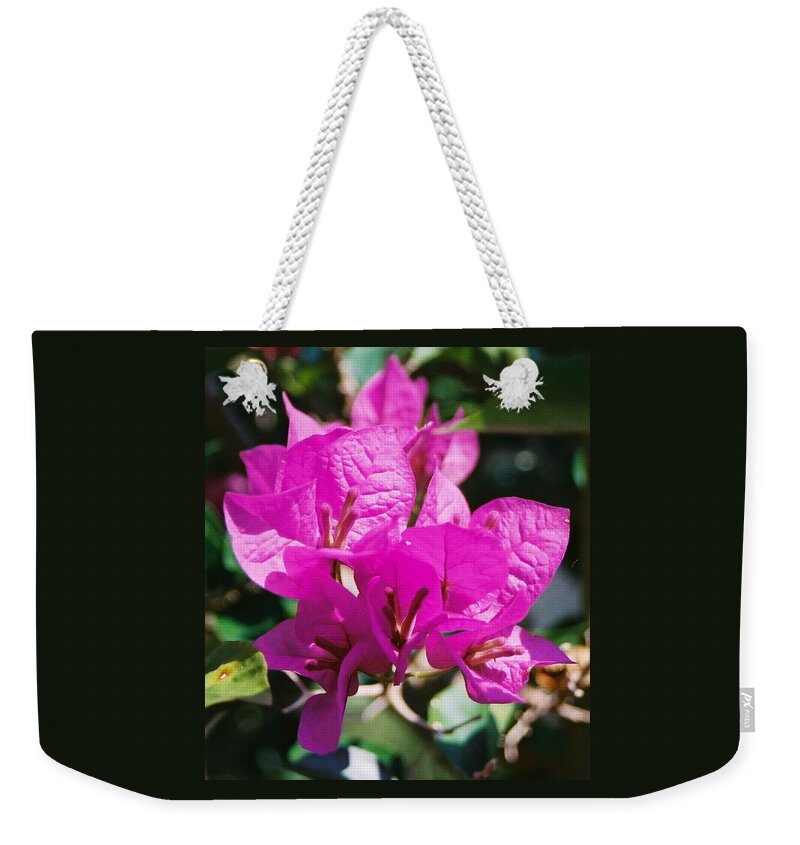 Bouganvilla Weekender Tote Bag featuring the photograph Bouganvilla, Magenta by Nancy Ayanna Wyatt