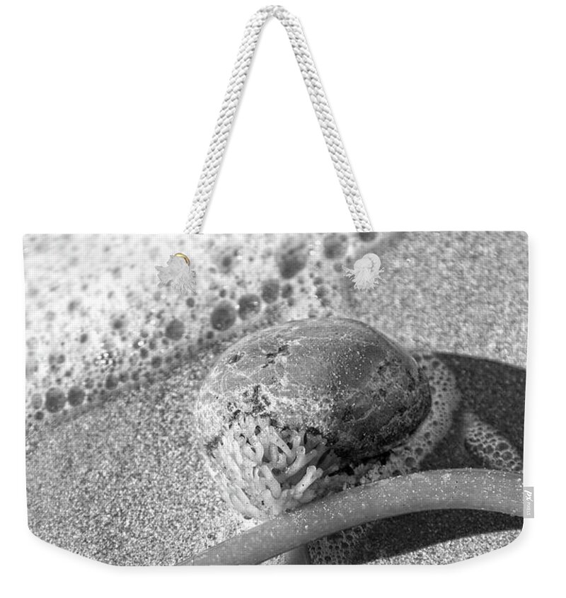 California Weekender Tote Bag featuring the photograph Bowling Ball Beach California Sand Story by Betsy Knapp