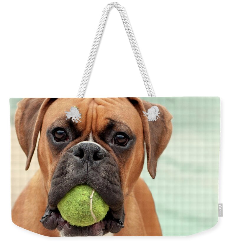 Pets Weekender Tote Bag featuring the photograph Boxer Dog by Jody Trappe Photography