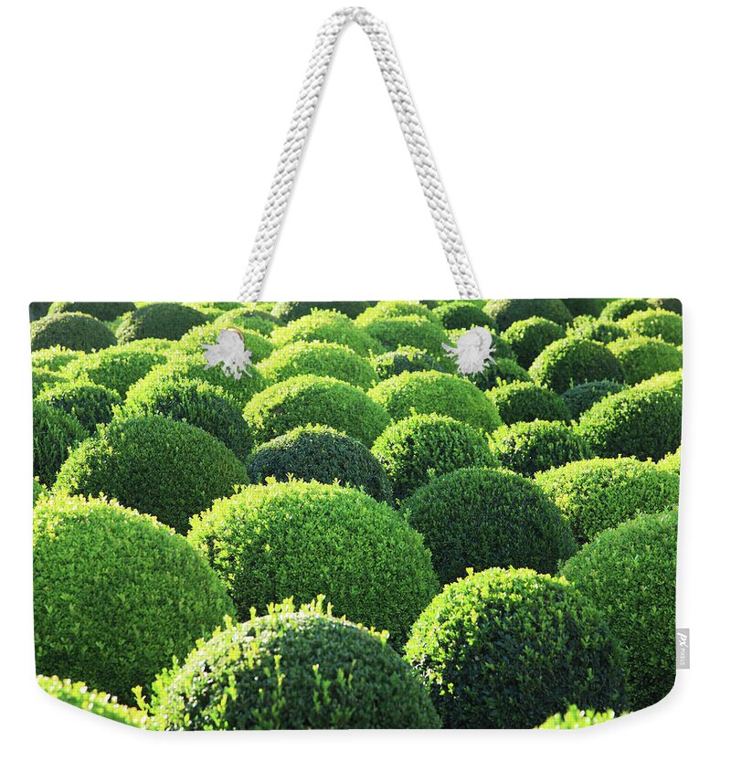 Tranquility Weekender Tote Bag featuring the photograph Boxwood, Shape, Pattern by Hiroshi Higuchi