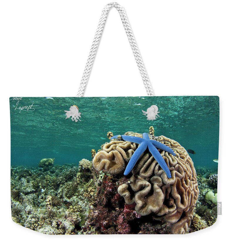 Underwater Weekender Tote Bag featuring the photograph Brain Star Fish by Belive...