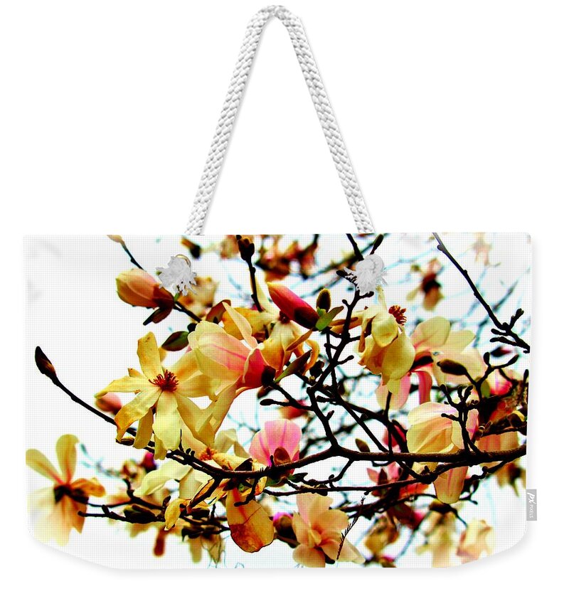 Magnolia Weekender Tote Bag featuring the photograph Branch Of Magnolia Flowers by Cynthia Guinn