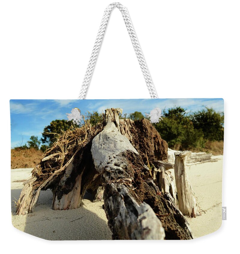 Beach Weekender Tote Bag featuring the photograph Branch on Beach by Maggy Marsh
