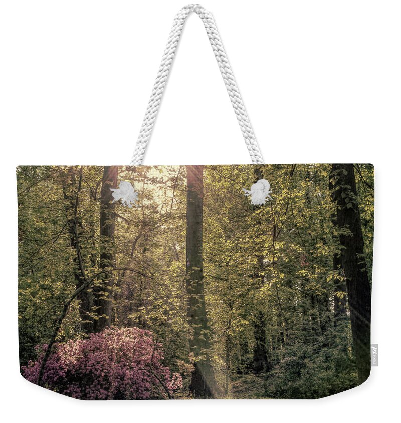 2011 Weekender Tote Bag featuring the photograph Brickworks 15 by Charles Hite
