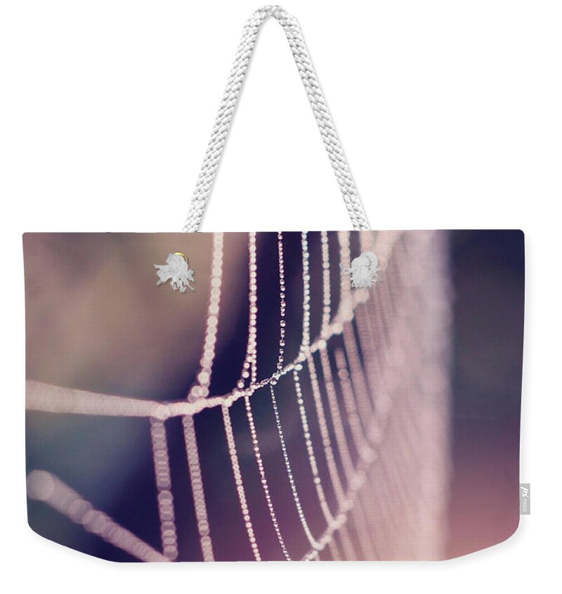 Pink Weekender Tote Bag featuring the photograph Bright and Shiney by Michelle Wermuth