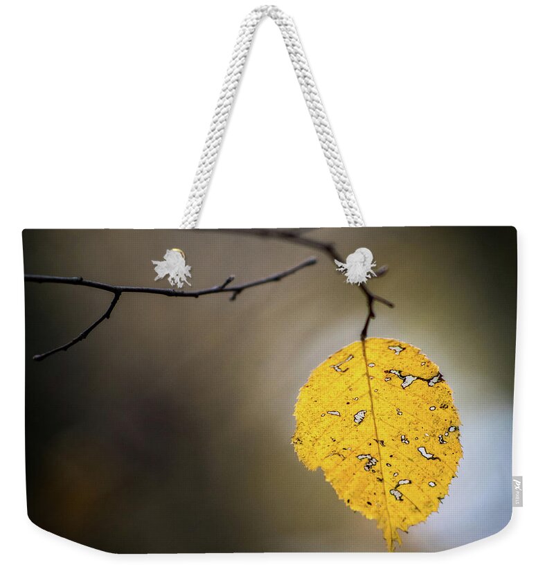 Fall Weekender Tote Bag featuring the photograph Bright Fall Leaf 7 by Michael Arend