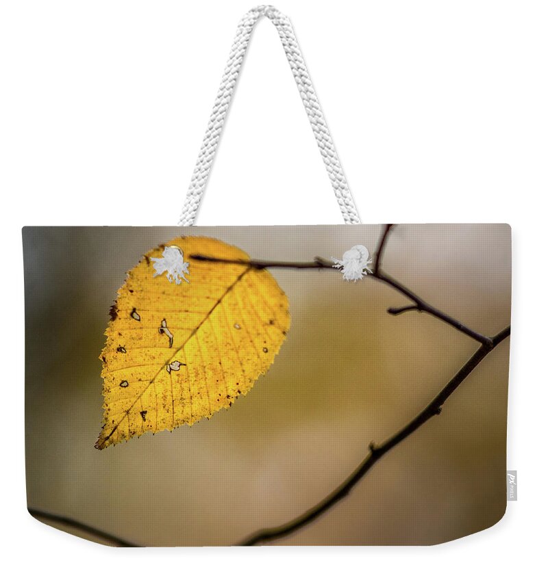 Fall Weekender Tote Bag featuring the photograph Bright Fall Leaf 8 by Michael Arend