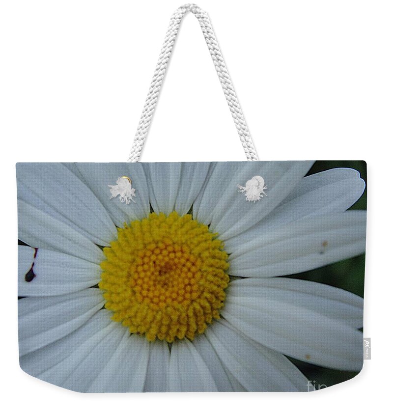 Flower Weekender Tote Bag featuring the photograph Bright flower by Karin Ravasio