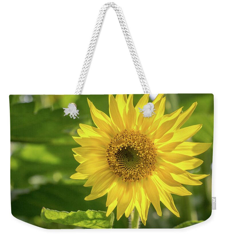 Flower Weekender Tote Bag featuring the photograph Bright Life by Bill Pevlor