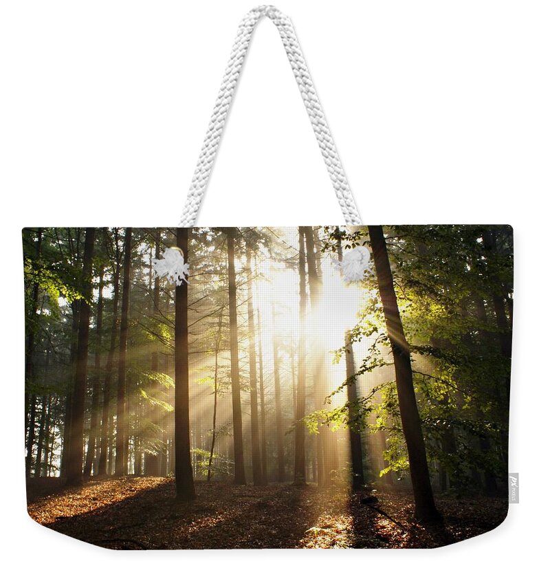 Tranquility Weekender Tote Bag featuring the photograph Bright Light by Bob Van Den Berg Photography