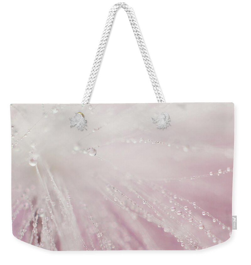 Macro Weekender Tote Bag featuring the photograph Bright Light by Michelle Wermuth
