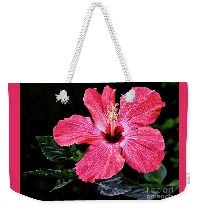 Floral Photography Weekender Tote Bag featuring the photograph Bright Red Hibiscus by Norman Gabitzsch
