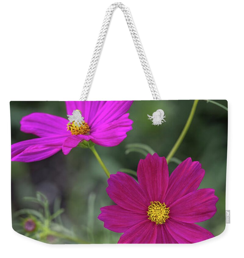 Flower Weekender Tote Bag featuring the photograph Brilliant Blooms by Aaron Burrows