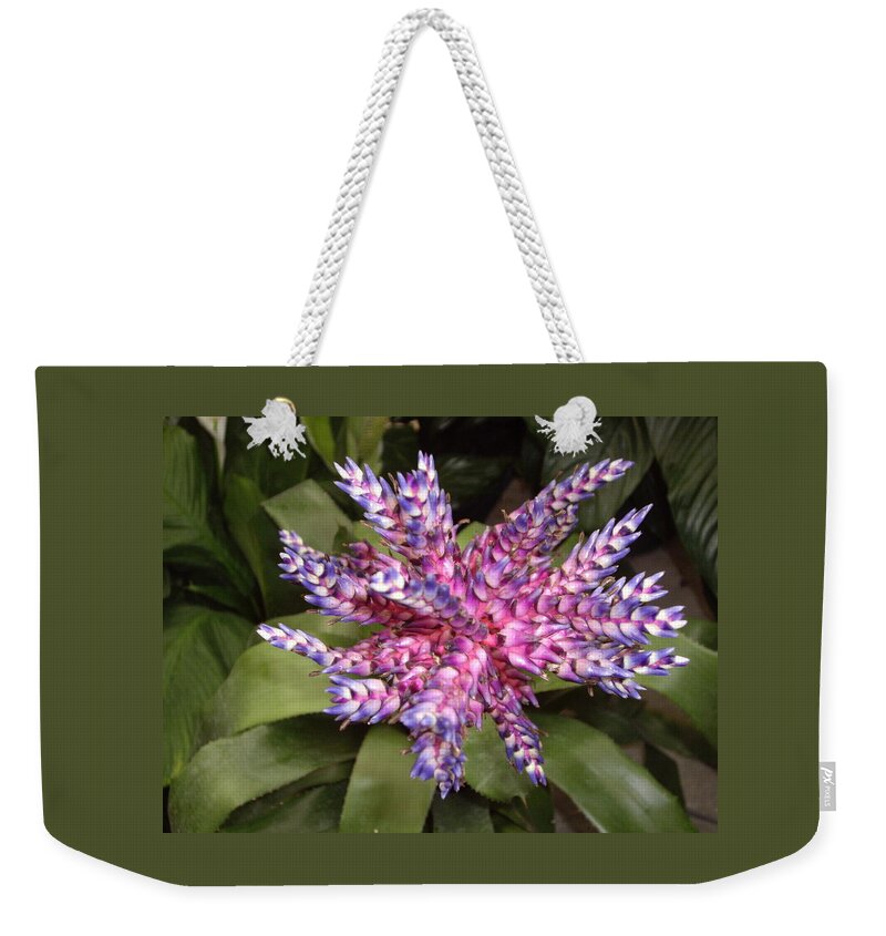 Bromeliad Weekender Tote Bag featuring the photograph Bromeliad pink, purple, blue flower by Nancy Ayanna Wyatt