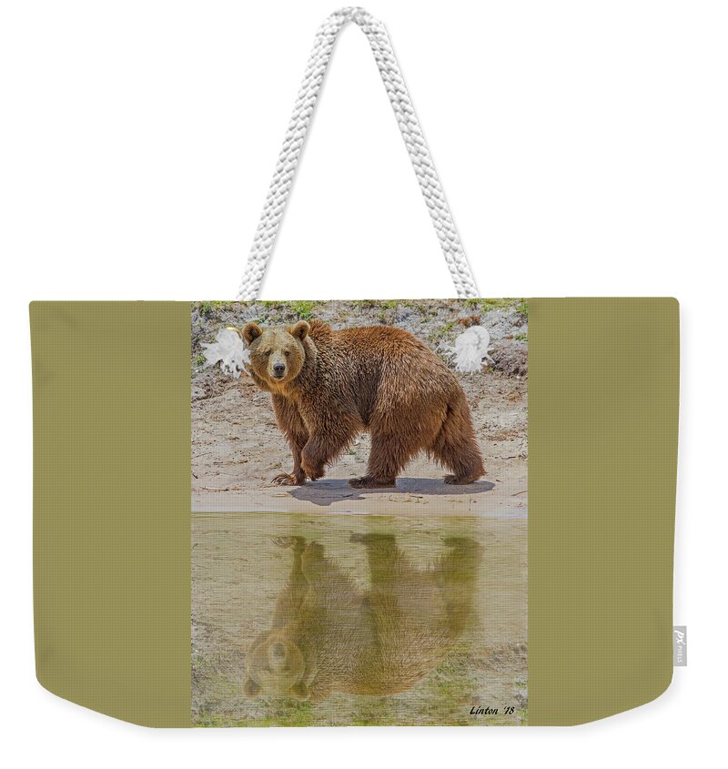 Brown Bear Weekender Tote Bag featuring the photograph Brown Bear Reflection by Larry Linton