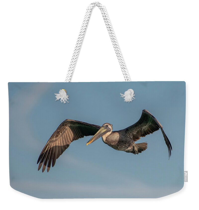 Brown Pelican Weekender Tote Bag featuring the photograph Brown Pelican in Flight by Ken Stampfer