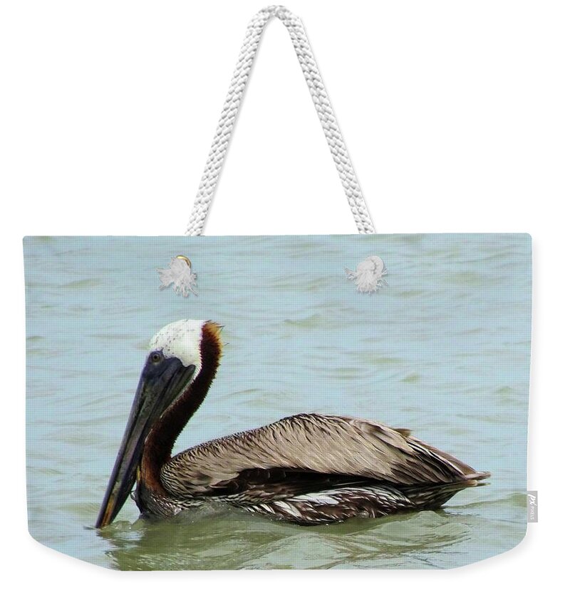 Birds Weekender Tote Bag featuring the photograph Brown Pelican by Karen Stansberry
