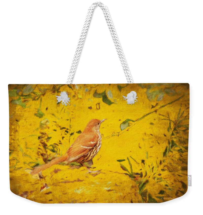 Bird Weekender Tote Bag featuring the photograph Brown Thrasher Visits by Diane Lindon Coy