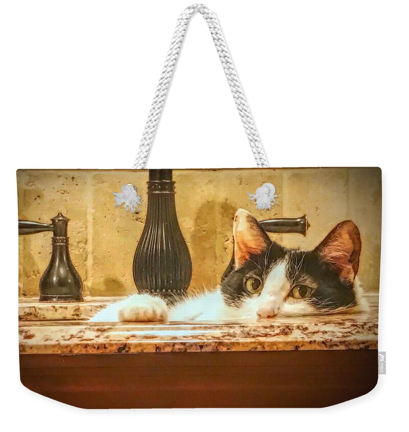  Weekender Tote Bag featuring the photograph Brush Your Teeth Elsewhere by Jack Wilson
