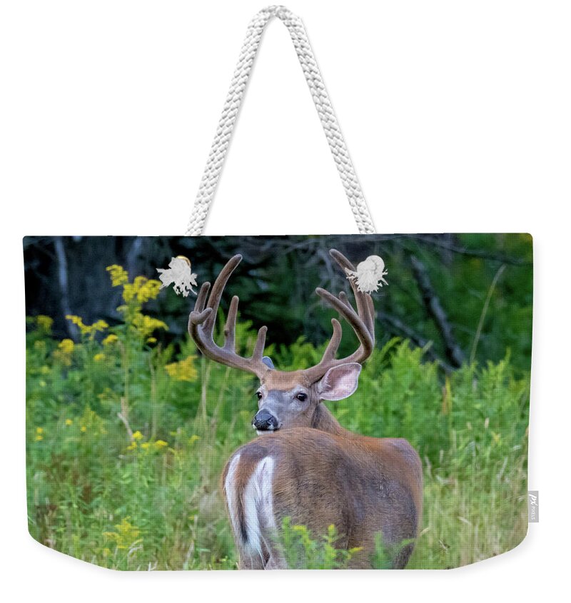 Buck Weekender Tote Bag featuring the photograph Buck at Hunter Cove by Scene by Dewey