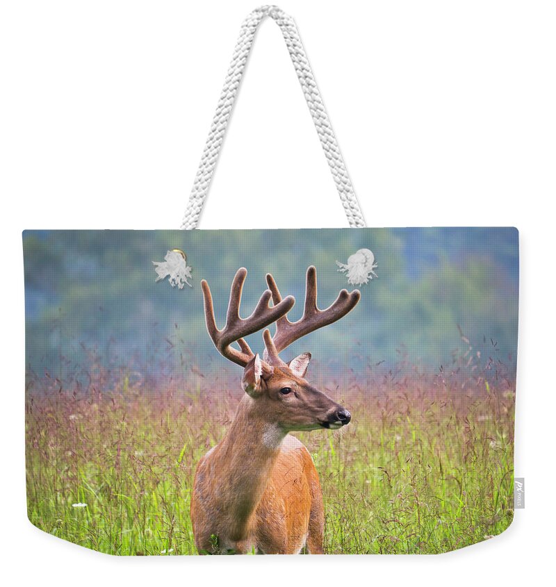 Grass Weekender Tote Bag featuring the photograph Buck Deer In Cades Cove Area Of The by Wbritten