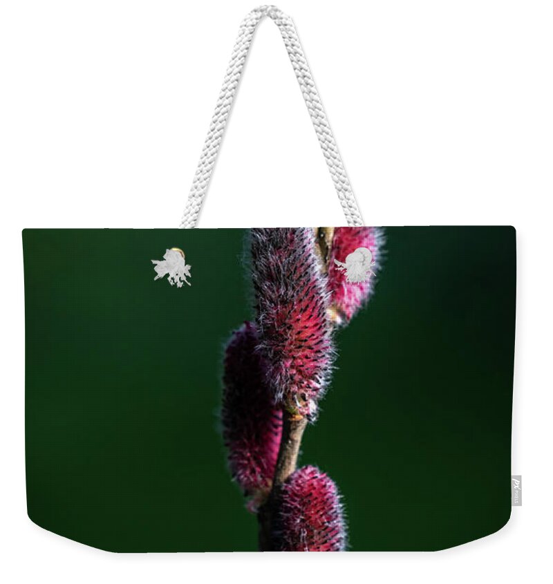 Spring Weekender Tote Bag featuring the photograph Buds by Framing Places