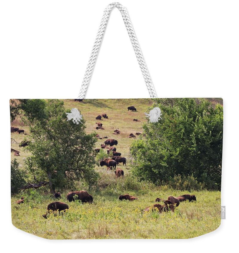 Buffalo Weekender Tote Bag featuring the photograph Buffalo herd at Custer State Park by Susan Jensen