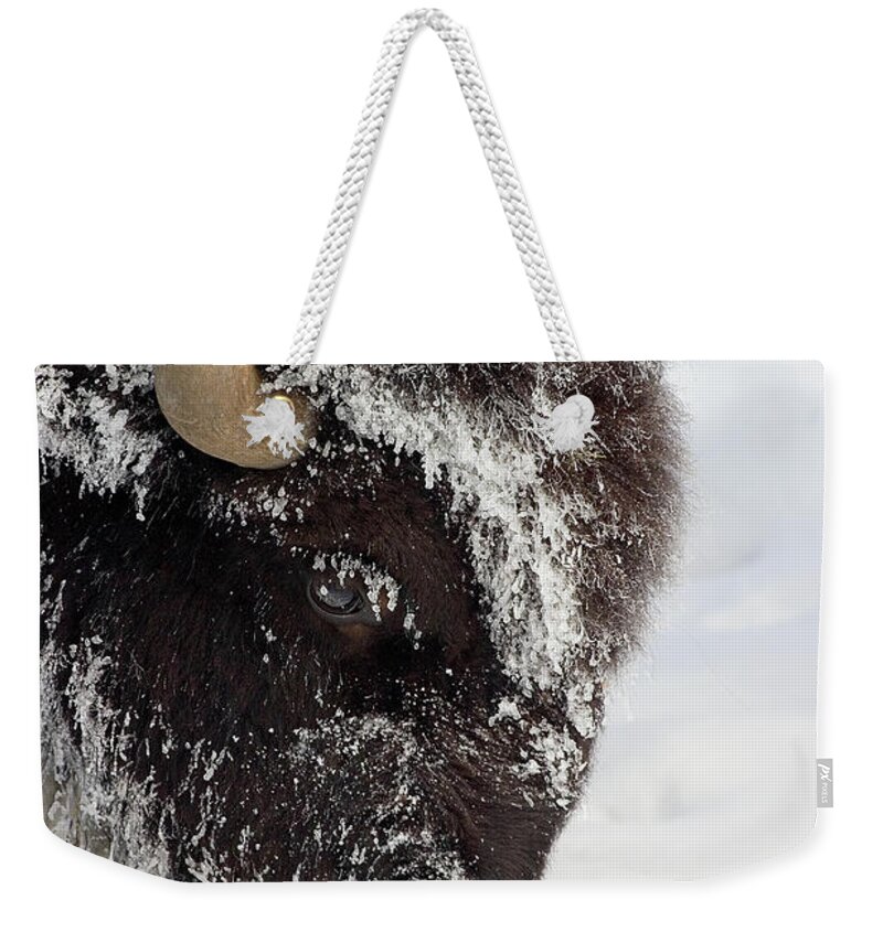 Horned Weekender Tote Bag featuring the photograph Buffalo In Winter In Yellowstone by J. L. woody Wooden