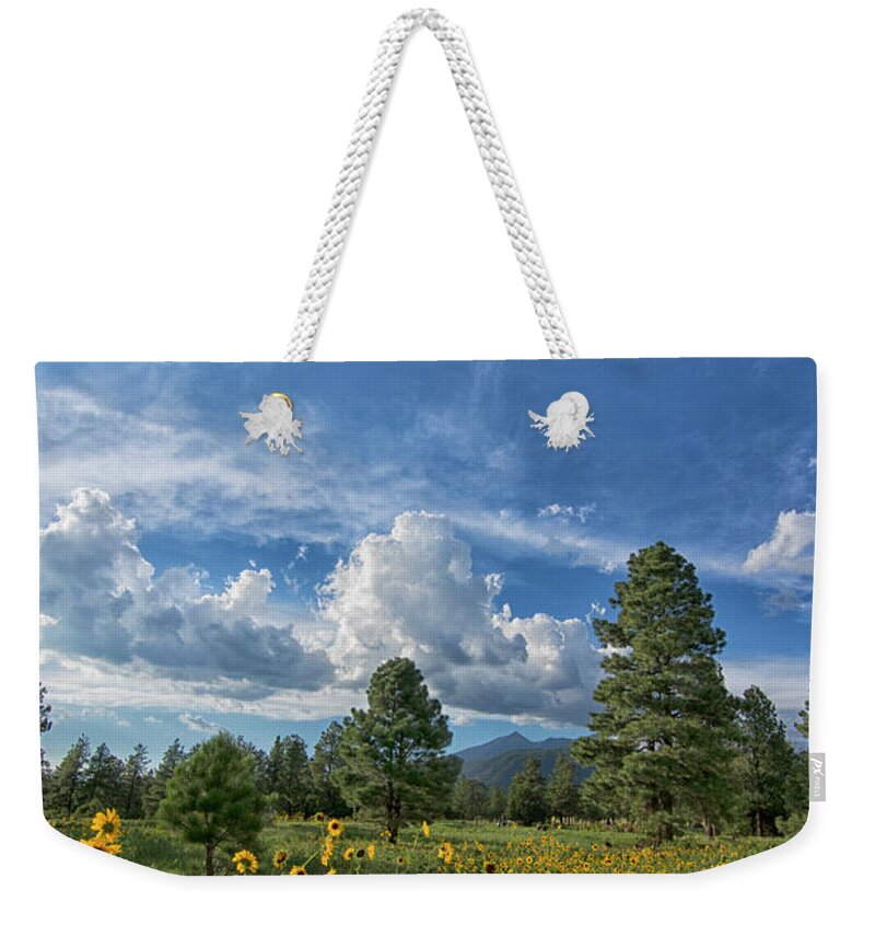 Buffalo Park Weekender Tote Bag featuring the photograph Buffalo Park Beckons by Tom Kelly