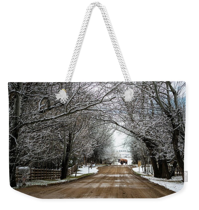 Buffalo Weekender Tote Bag featuring the photograph Buffalo Road by James BO Insogna