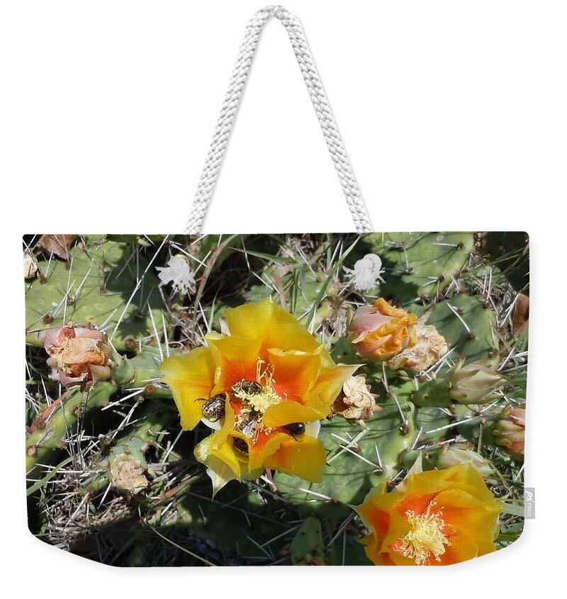 Flower Weekender Tote Bag featuring the photograph Bug Feast by Ivars Vilums