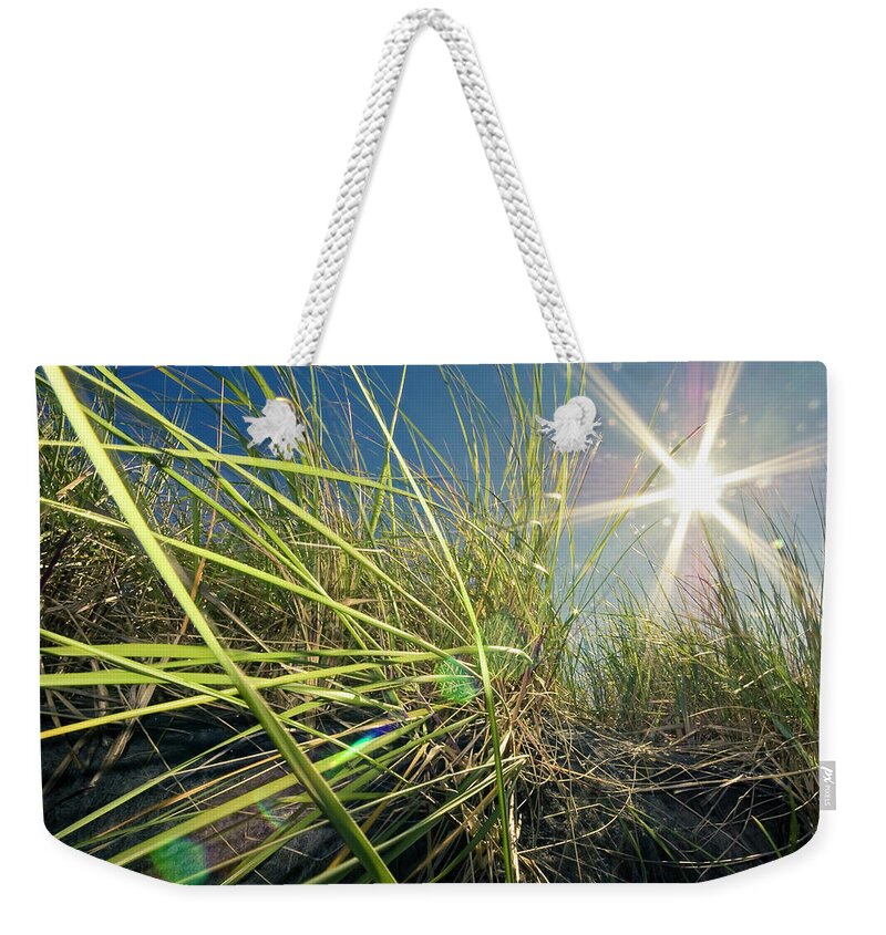 Tranquility Weekender Tote Bag featuring the photograph Bugs Eye View Through Tall Grasses by By Meredith Farmer