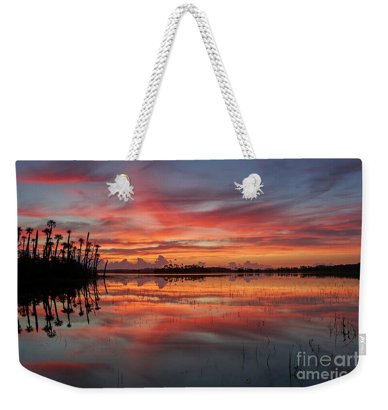 Usa Weekender Tote Bag featuring the photograph Burst of Color by Brian Kamprath