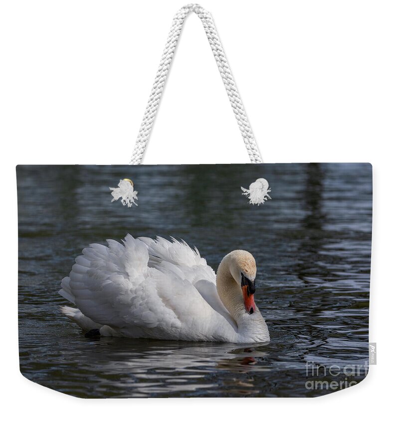 Photography Weekender Tote Bag featuring the photograph Busking Swan by Alma Danison
