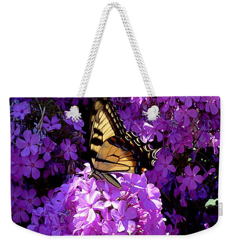 Eastern Tiger Swallowtail Weekender Tote Bag featuring the photograph Butterfly and Phlox by Mike McBrayer