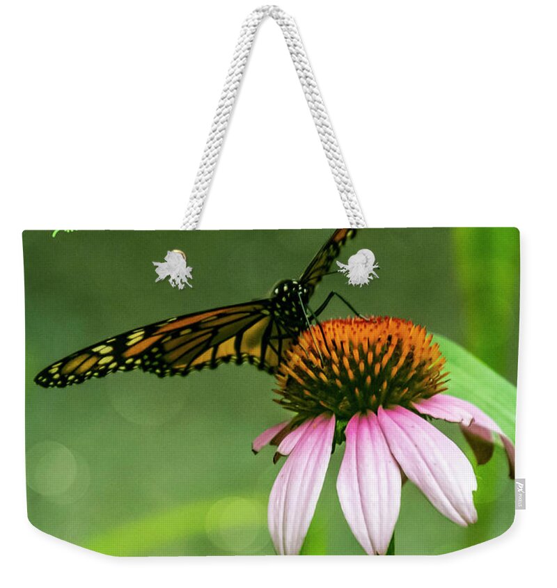 Butterfly Weekender Tote Bag featuring the photograph Butterfly Birthday by Cathy Kovarik