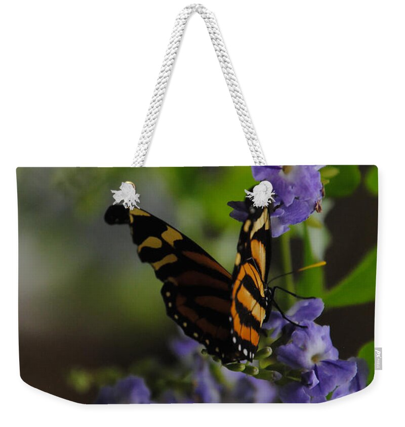 Butterfly Weekender Tote Bag featuring the photograph Butterfly in Shadow by Vallee Johnson