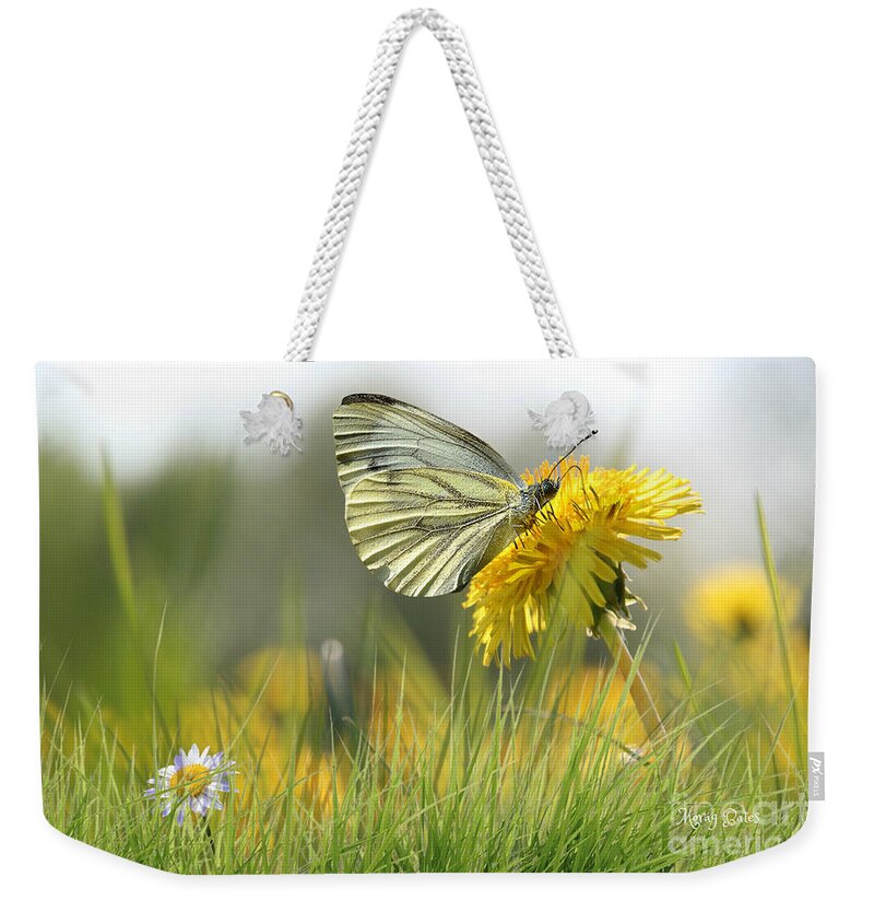 Butterfly On Flower. Butterfly And Dandelion Weekender Tote Bag featuring the pyrography Butterfly on Dandelion by Morag Bates