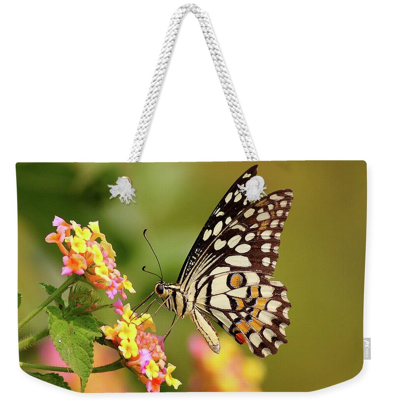 Insect Weekender Tote Bag featuring the photograph Butterfly On Flower by Zahoor Salmi