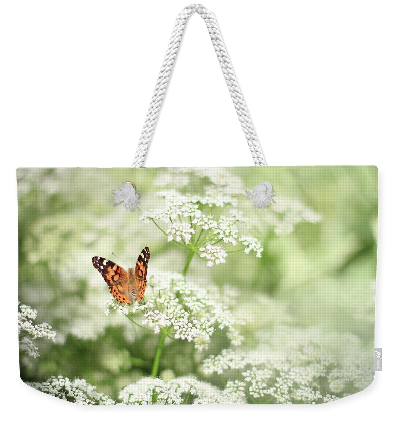Orange Color Weekender Tote Bag featuring the photograph Butterfly On Queen Annes Lace by Carmen Brown Photography