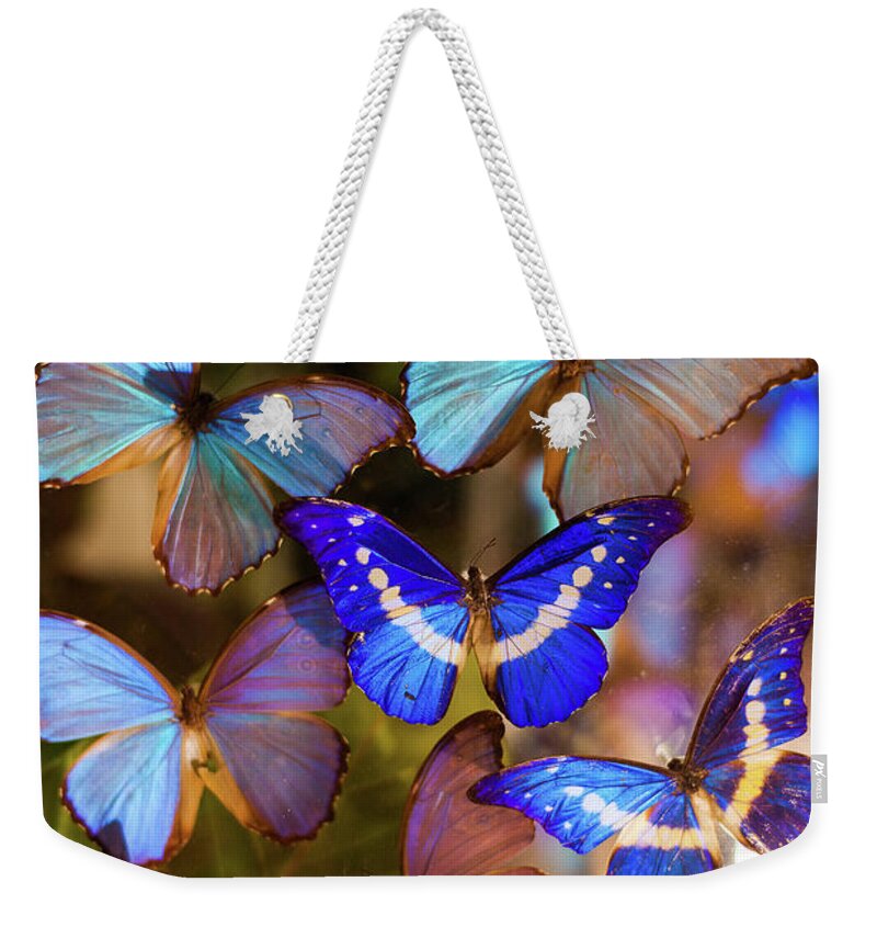 Taiwan Weekender Tote Bag featuring the photograph Butterfly by Photographic By Tommy Hsu