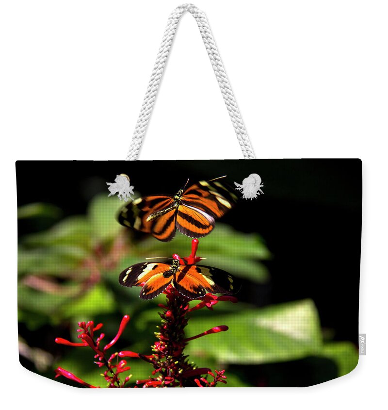 Butterfly Weekender Tote Bag featuring the photograph Butterfly by Richard Krebs