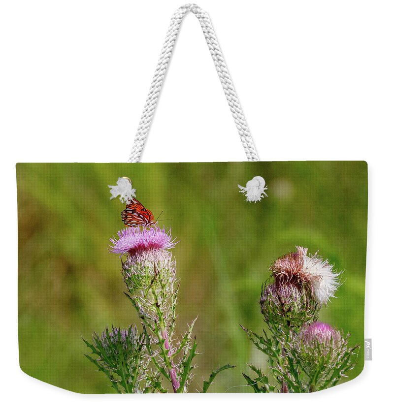 Butterfly Weekender Tote Bag featuring the photograph Butterfly sitting by Les Greenwood