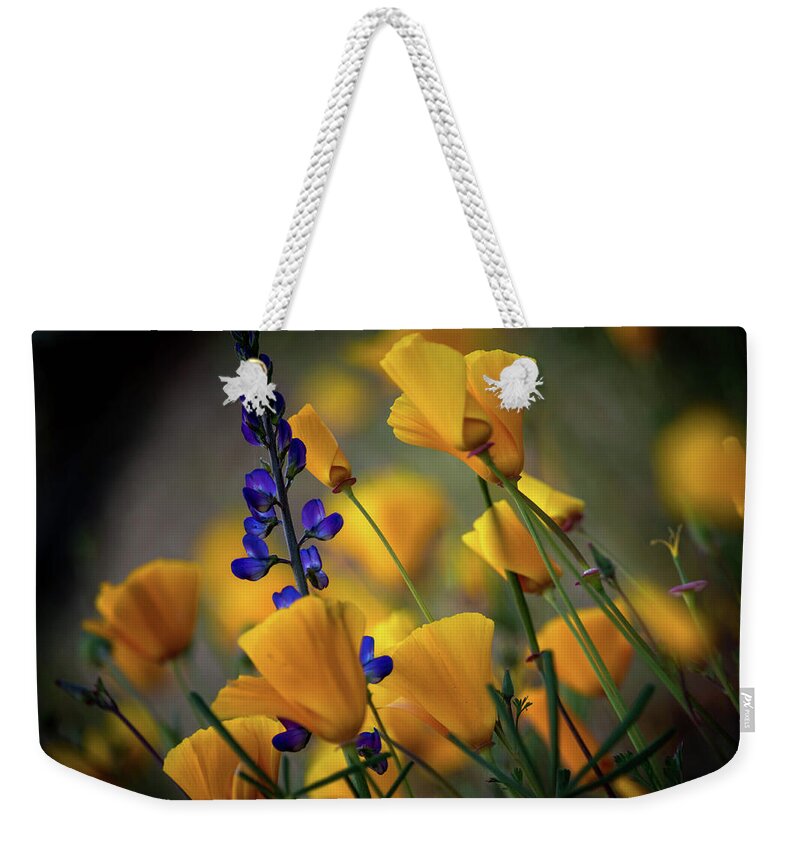 Poppies Weekender Tote Bag featuring the photograph CA Poppies by Debra Kewley