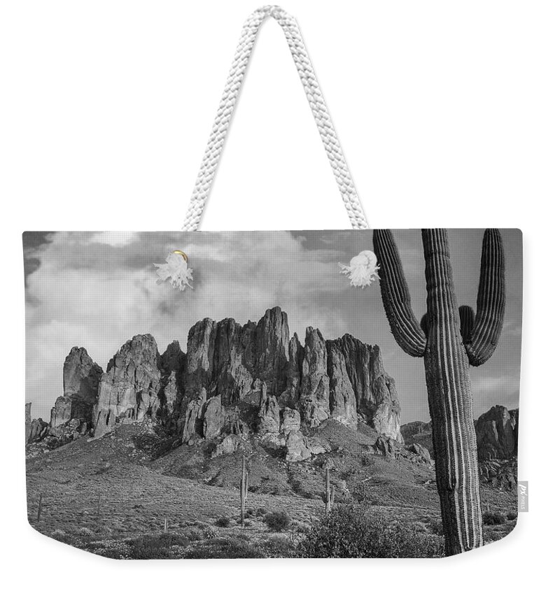 Disk1216 Weekender Tote Bag featuring the photograph Cacti And Superstition Mts. by Tim Fitzharris