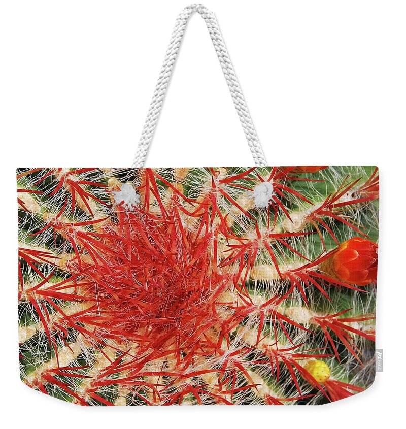 Outdoors Weekender Tote Bag featuring the photograph Cactús En Primer Plano by Almudena Marcos