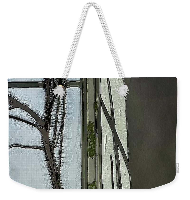 Cactus Weekender Tote Bag featuring the digital art Cactus Abstract by Diana Rajala