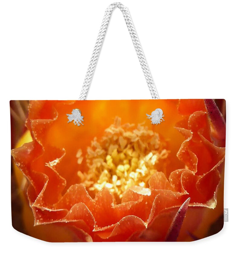 Cactus Weekender Tote Bag featuring the photograph Cactus Bloom by Eric Nagel