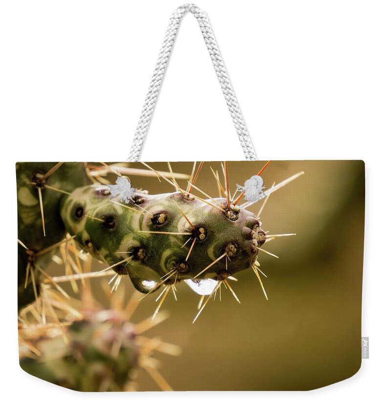 Outdoors Weekender Tote Bag featuring the photograph Cactus detail by Silvia Marcoschamer